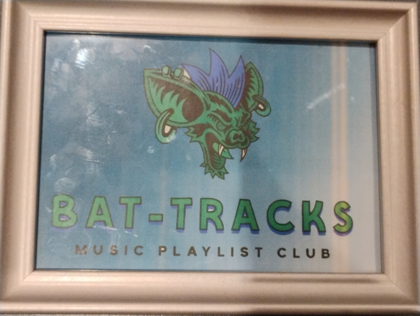 Bat Tracks frame